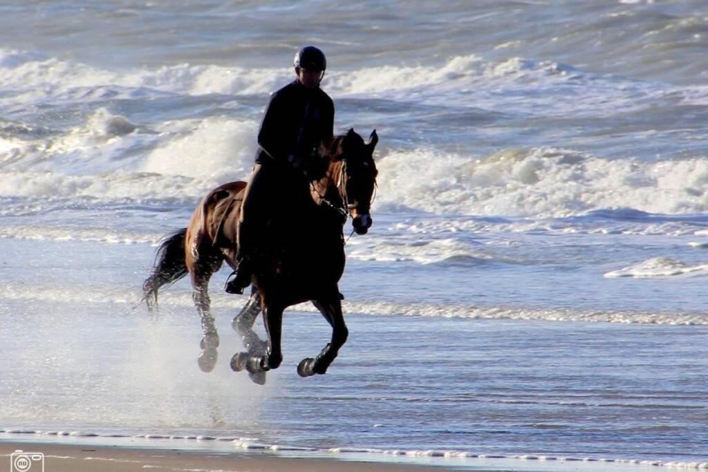 Beachtime Close To The Beach, City Centre Zandvoort Esterno foto